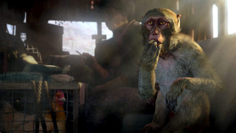 Far Cry 4 Affe