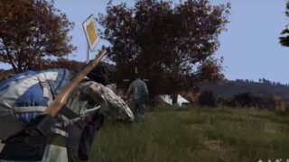 DayZ