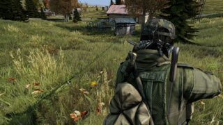 DayZ