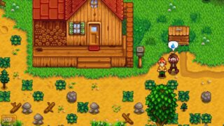 Stardew Valley