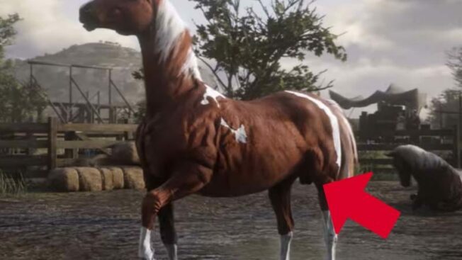 Red Dead Redemption 2 Pferdehoden Red Dead Redemption 2: Bietet animierte Pferdehoden
