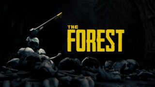 The Forest