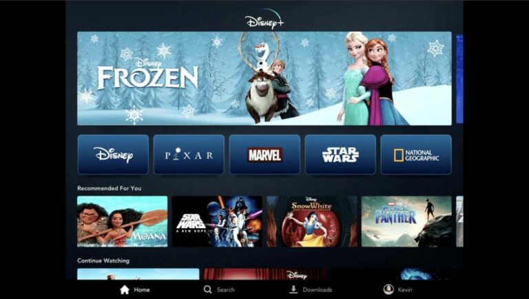 Disney Plus-Interesse sinkt stark