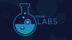 Steam Labs Valve