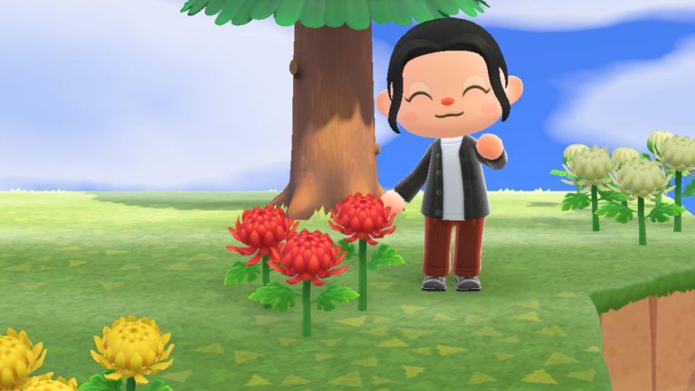 Animal Crossing New Horizons Blumen kreuzen