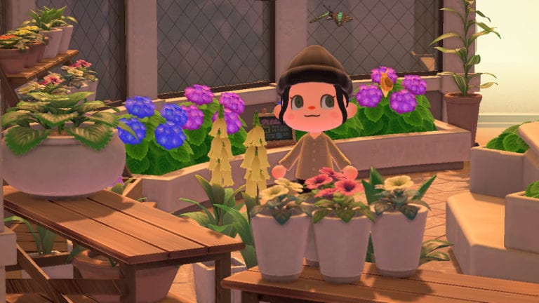 Einige Fische und Insekten verschwinden im Mai aus Animal Crossing New Horizons