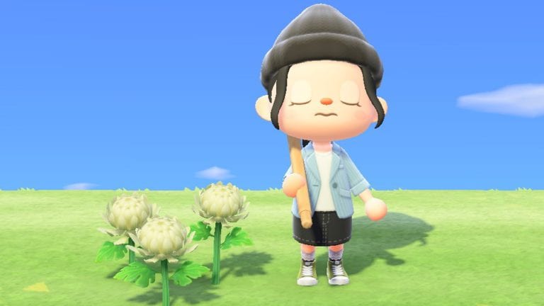 Weniger Vogelspinnen in Animal Crossing: New Horizons