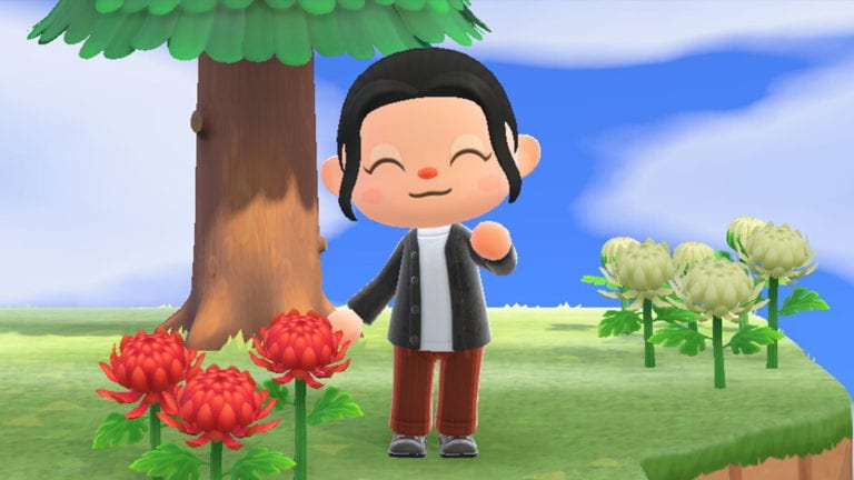 Animal Crossing New Horizons Februar neu