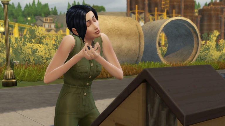 Die Sims 4 Nachhaltig leben Insekten
