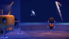Animal Crossing: New Horizons Juni Fisch Insekten
