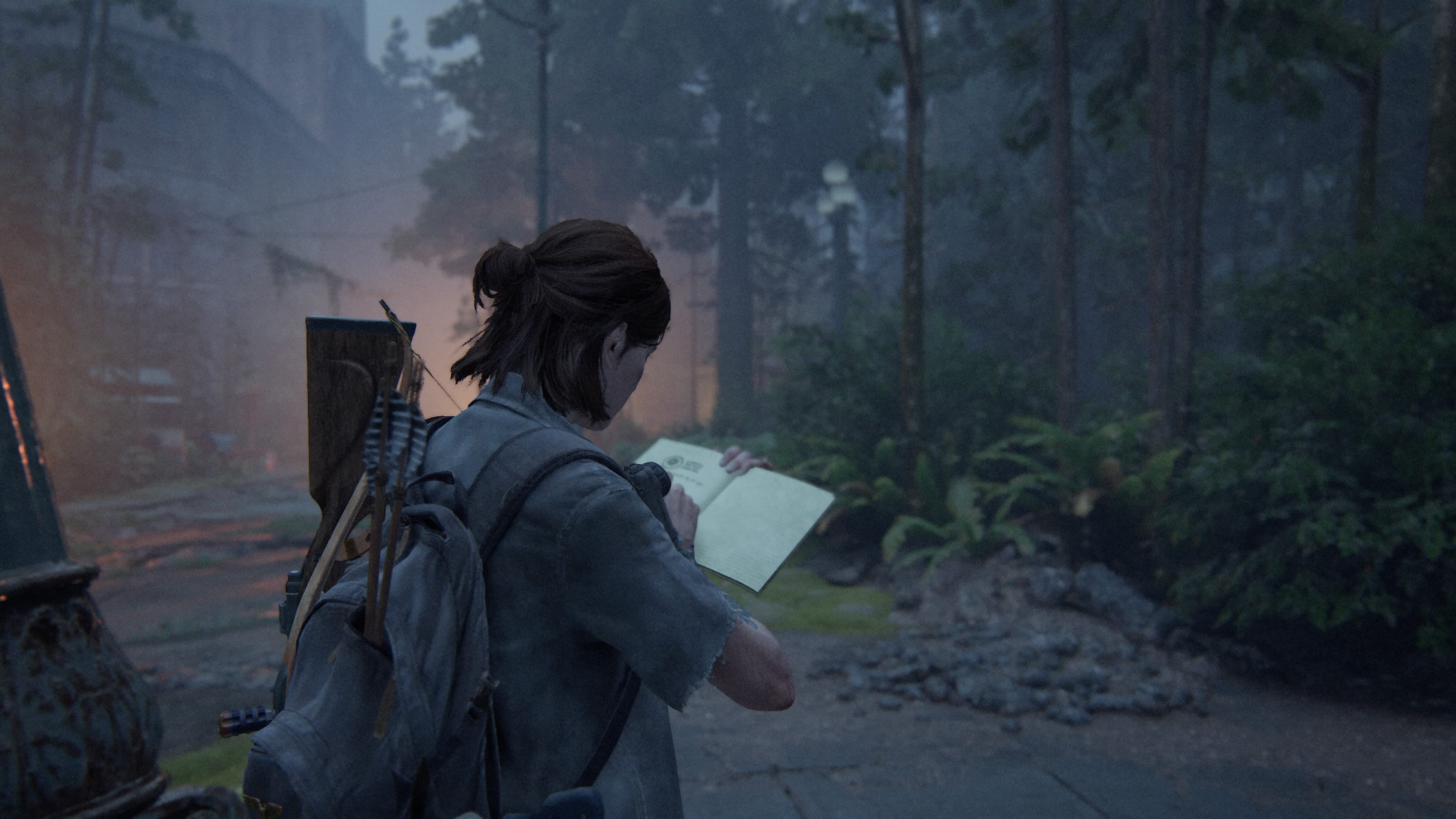 The Last of Us 2 Tagebuch