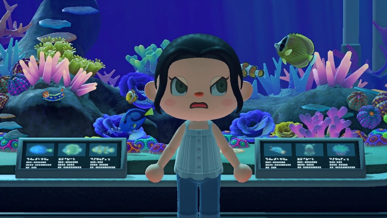 Animal Crossing New Horizons Belohnung Meerestiere