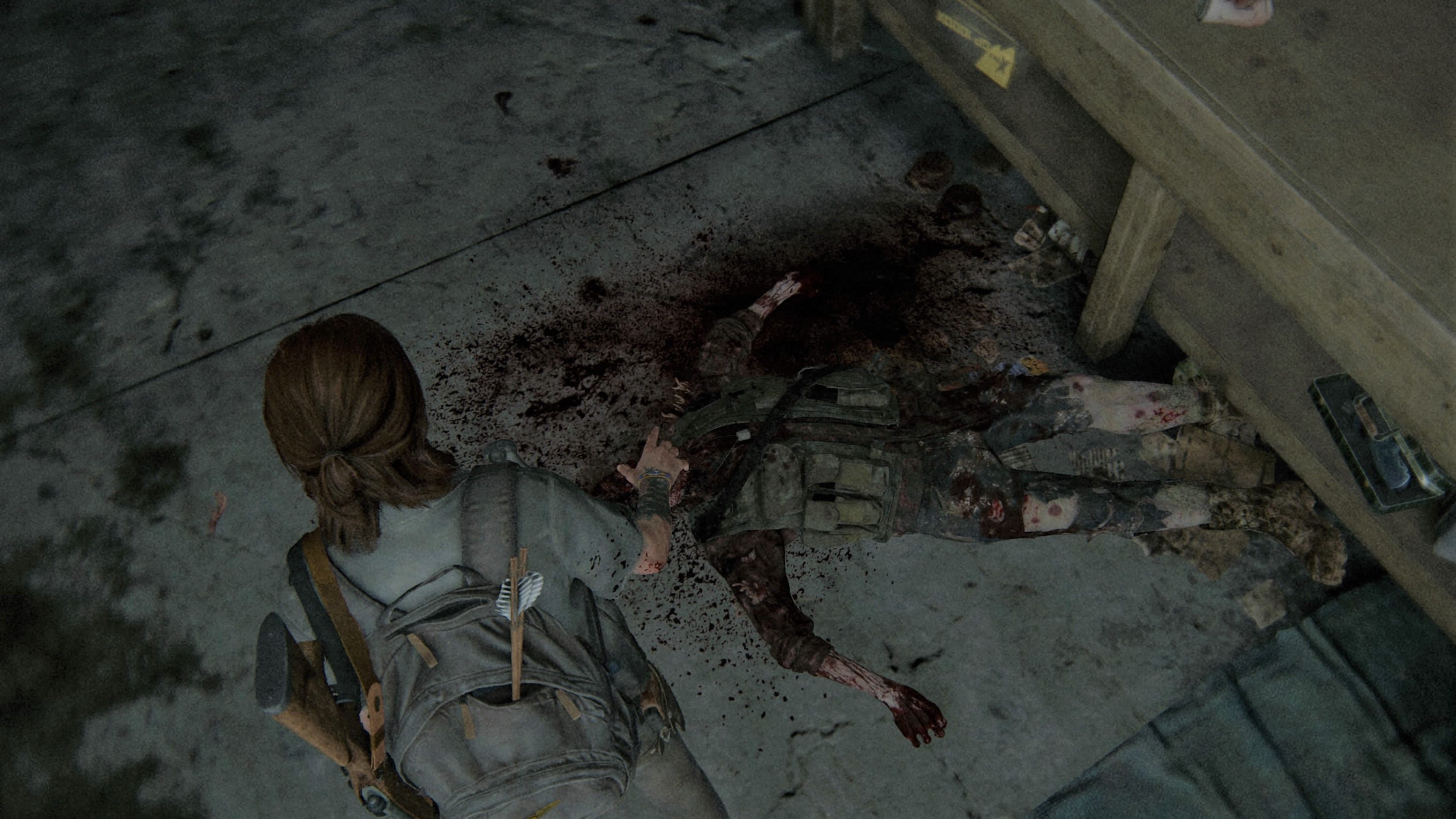 The Last of Us 2 Bogen Fundort