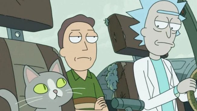 Rick & Morty Katze