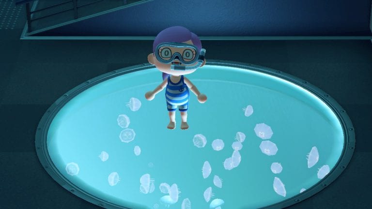 Animal Crossing New Horizons Meerestiere