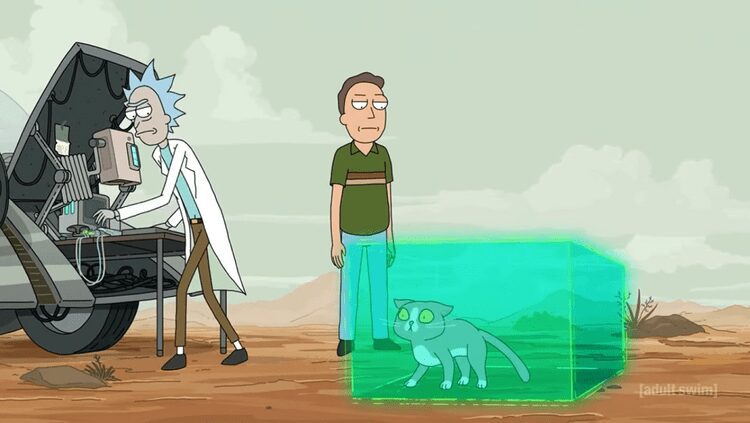 Rick & Morty Katze Lösung