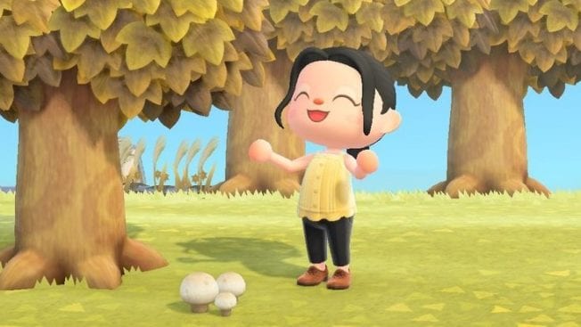 Animal Crossing New Horizons Pilz-Saison Rezepte
