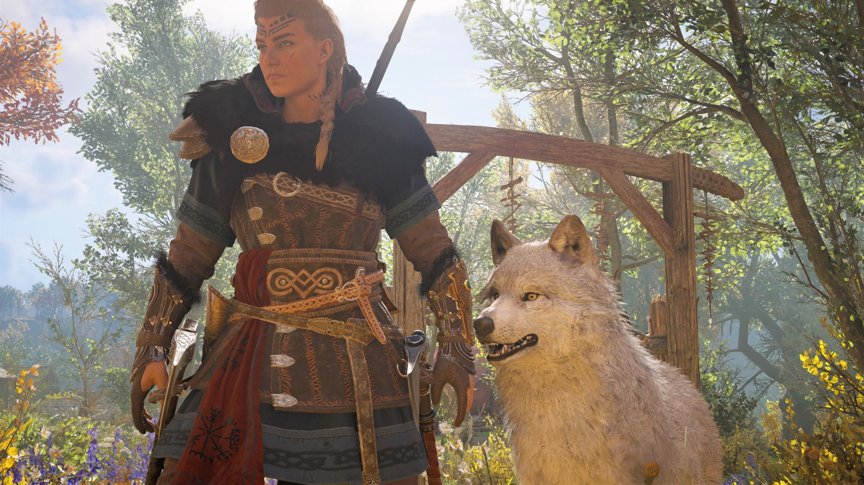 Assassin's Creed Valhalla Wolf Begleiter Tier zähmen
