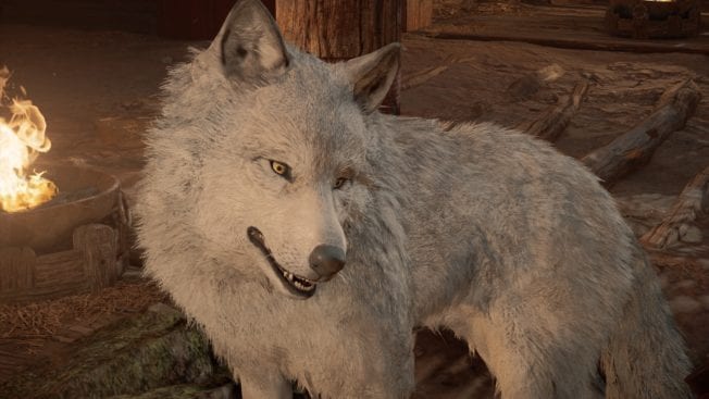 Assassin's Creed Valhalla Wolf freischalten