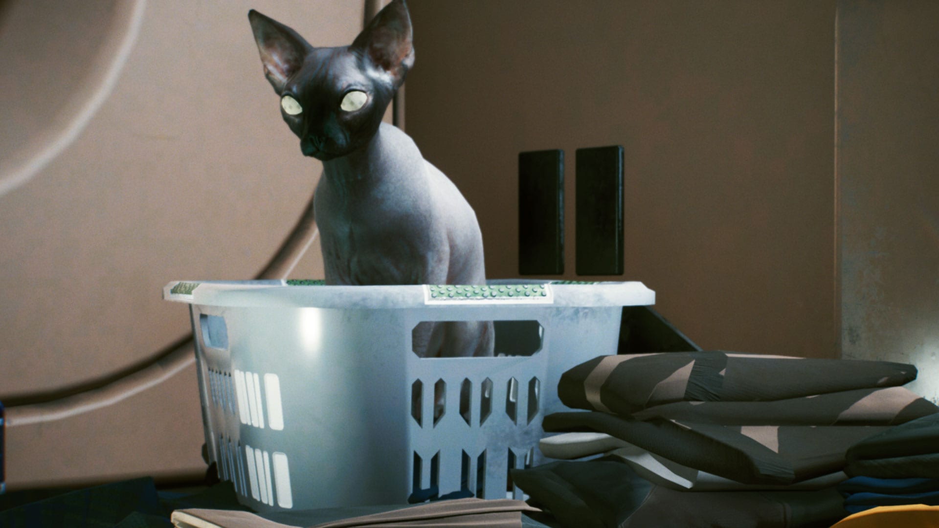 Cyberpunk 2077: So könnt ihr eine Katze adoptieren & mit in euer  Appartement nehmen (Guide)