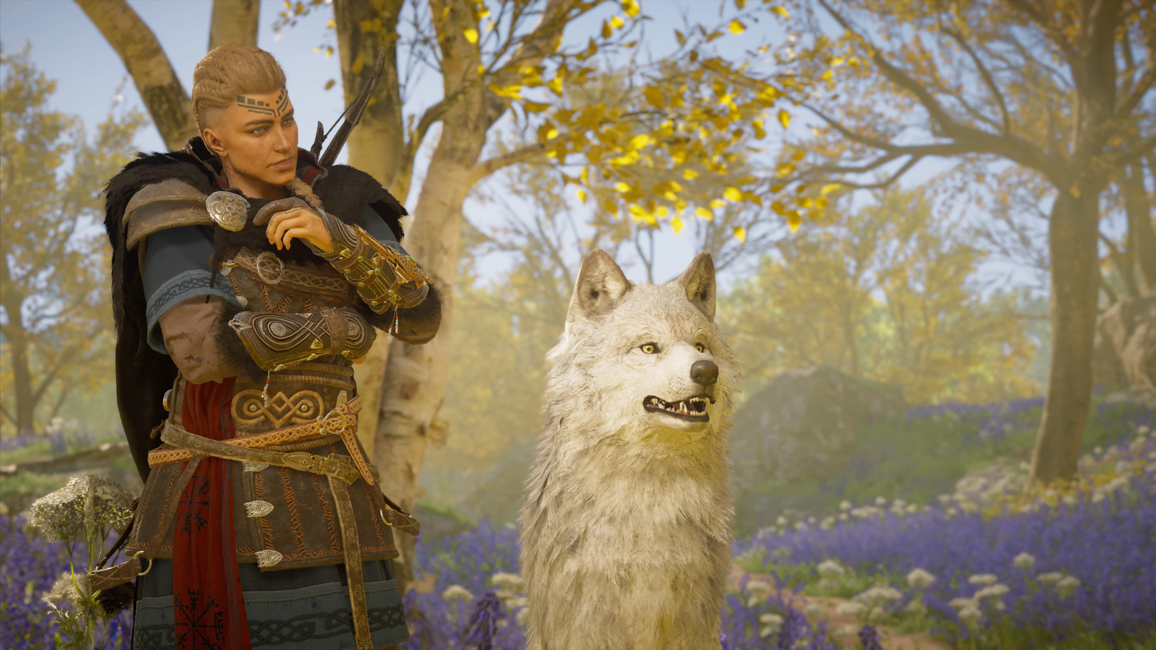 Assassin's Creed Valhalla Rüstung Wulfi