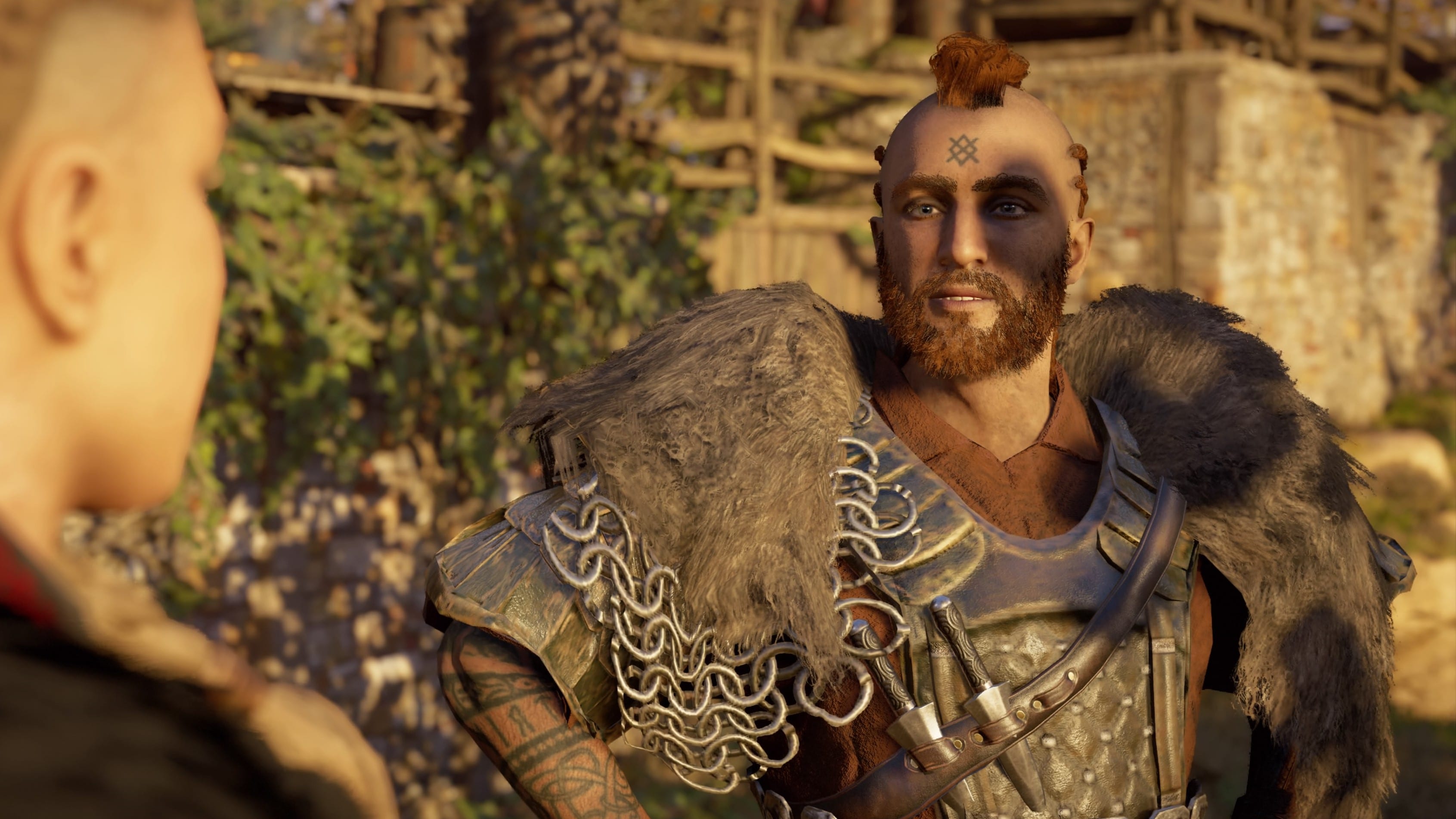 Assassin's Creed Valhalla Broder