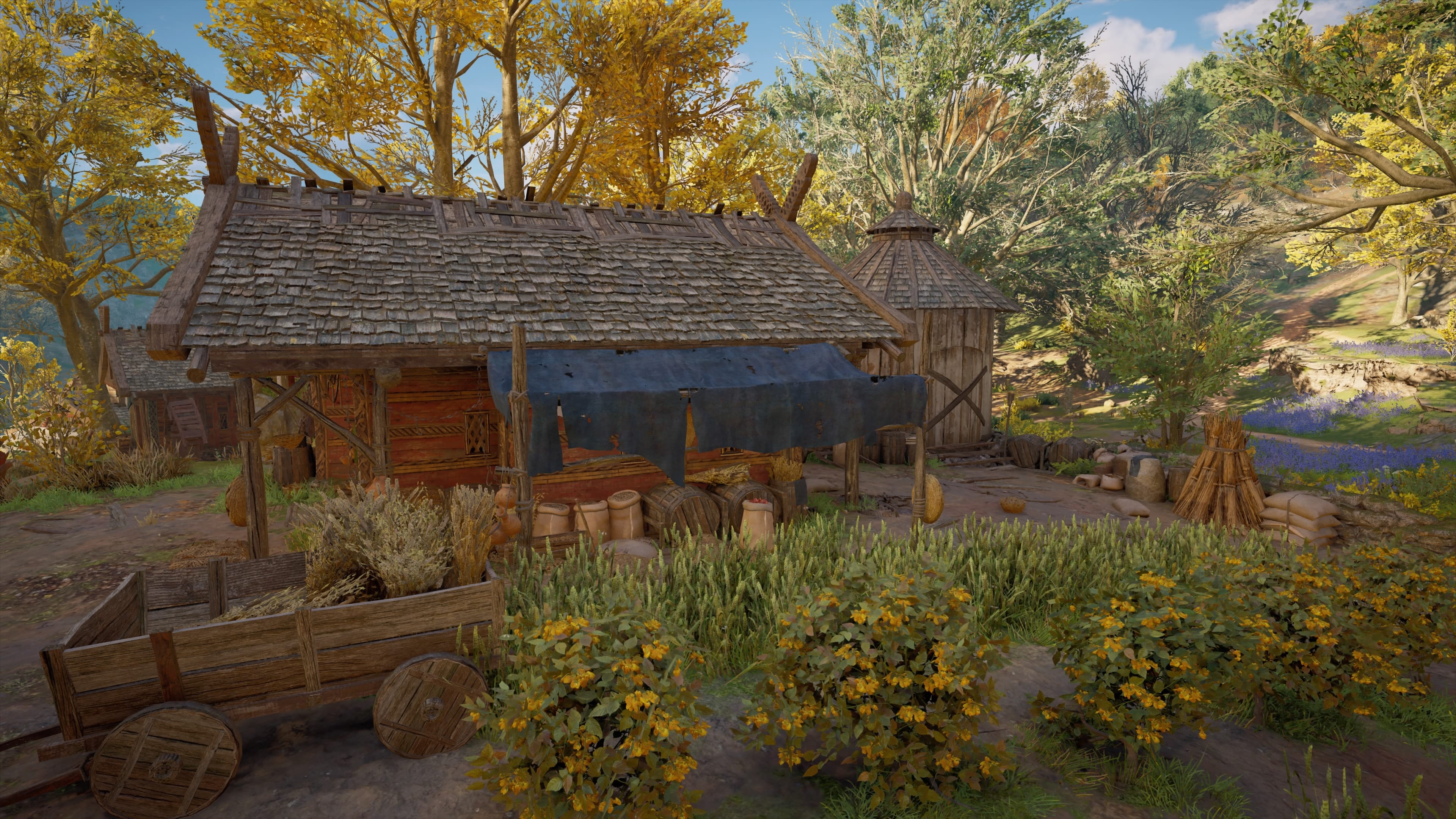 Assassin's Creed Valhalla Getreidefarm