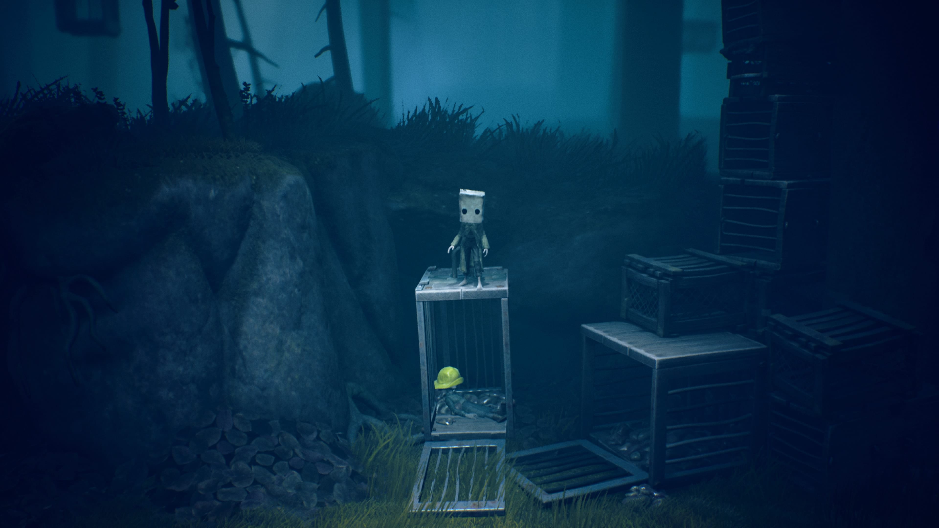 Little Nightmares 2 Kisten Wald