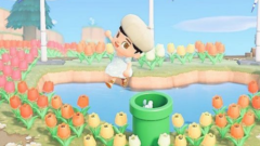 Animal Crossing New Horizons Pipe-Challenge