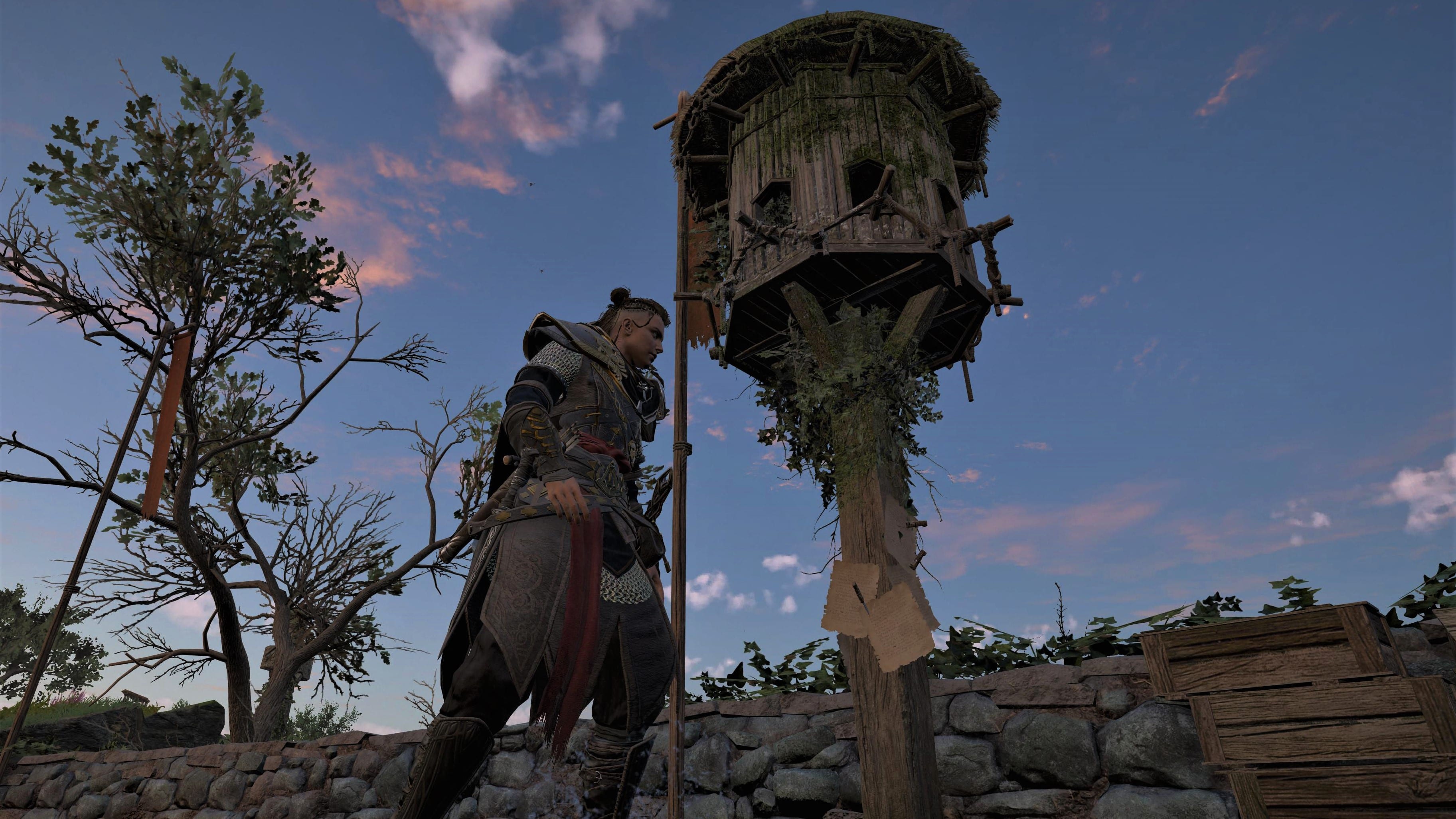 Assassin's Creed Valhalla Taubenschlag