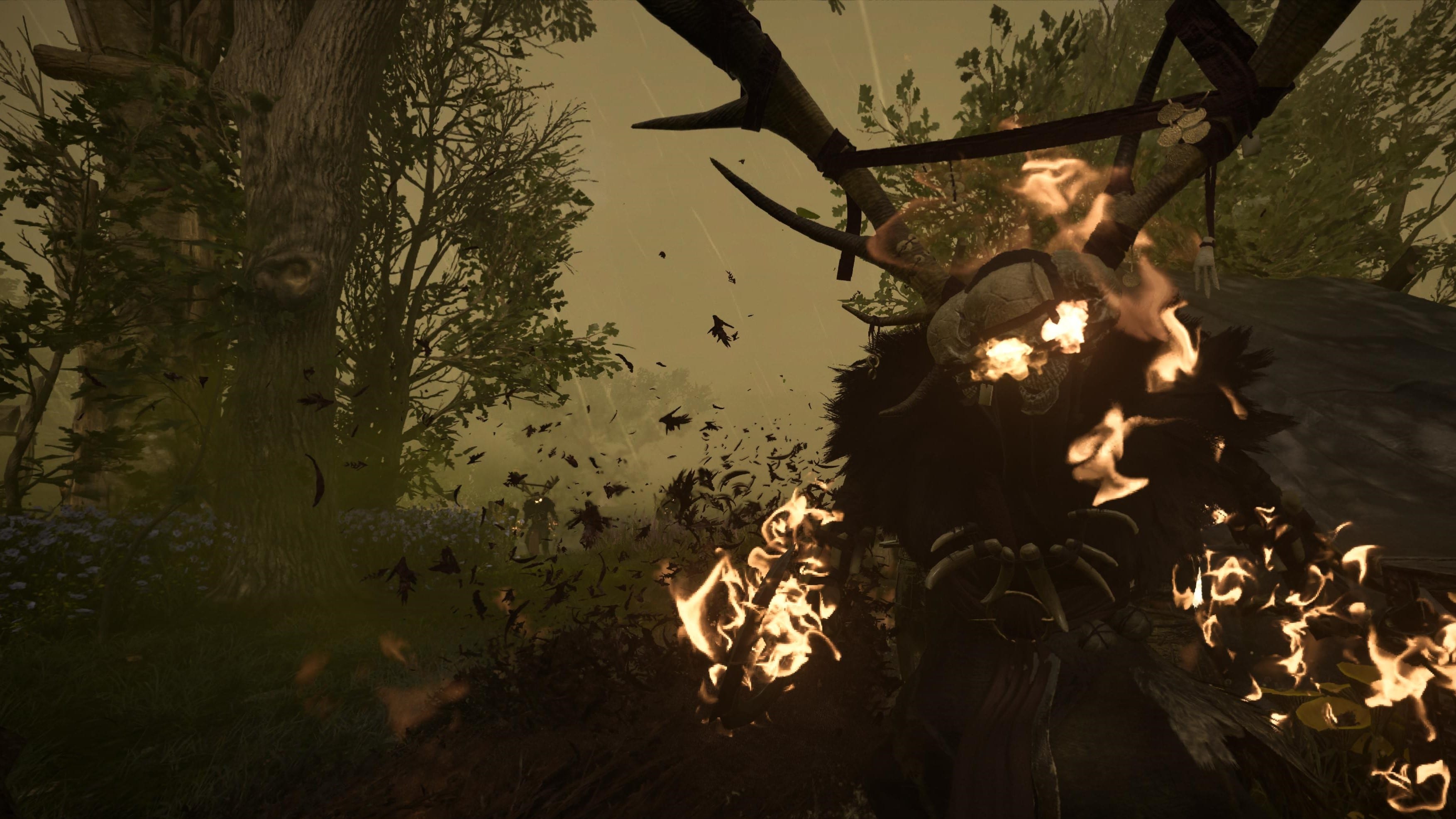 Assassin's Creed Valhalla Druiden