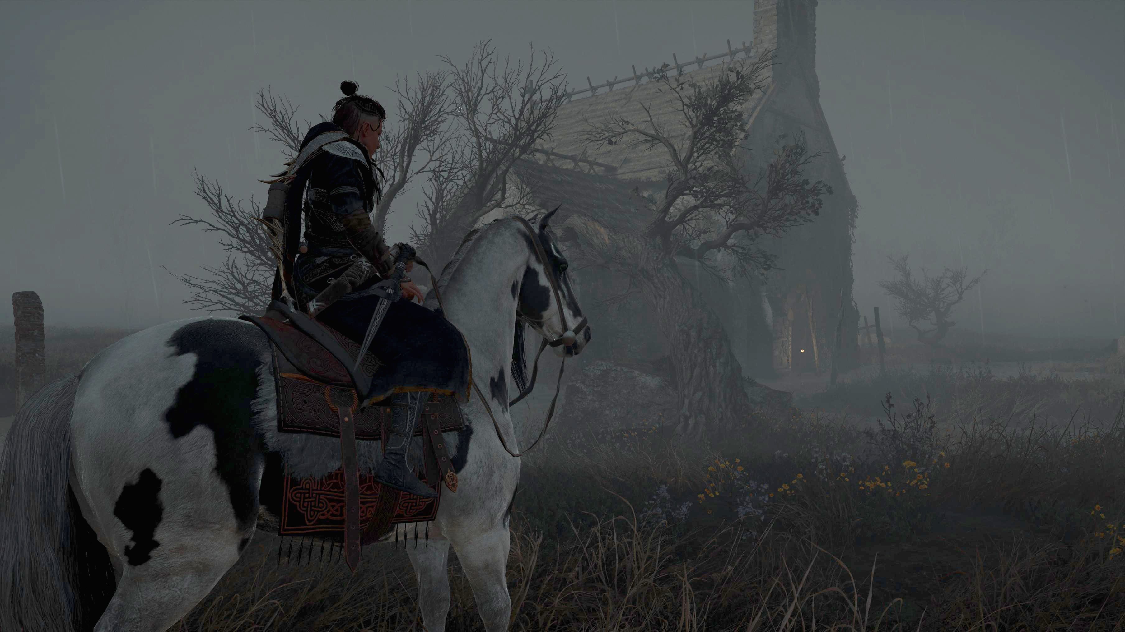 Assassin's Creed Valhalla Schlange Irland
