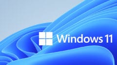 Windows 11