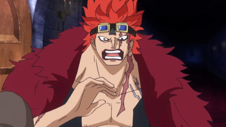 One Piece Kid Teufelsfrucht