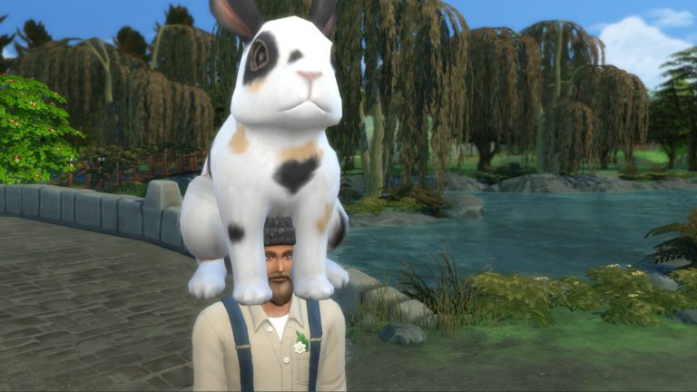 Sims 4 Landhaus-Leben Cheats