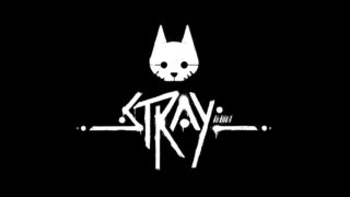 Stray