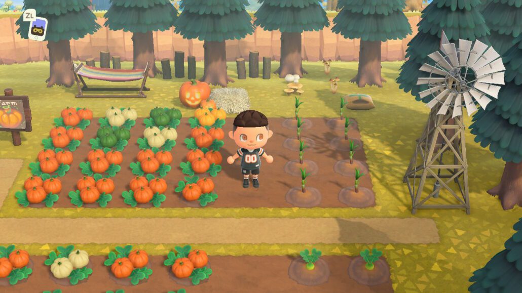 Animal Crossing New Horizons Gemüse Anbauen