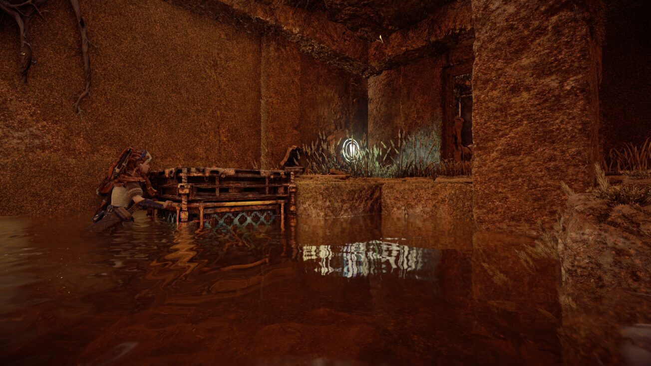 Horizon Forbidden West Reliktruine Niemandsland erfolgreich