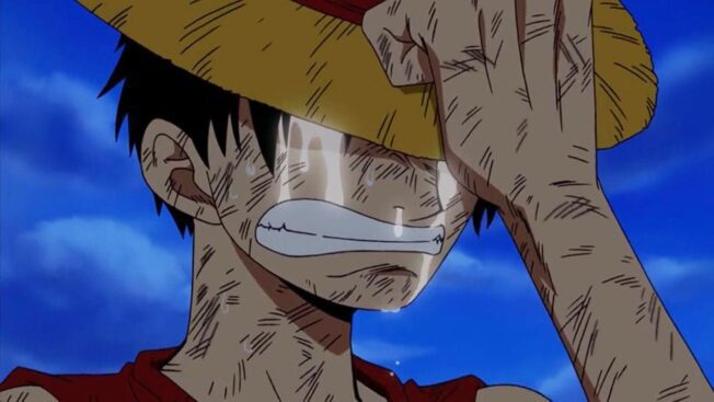 One Piece Anime-Serie Zwangspause