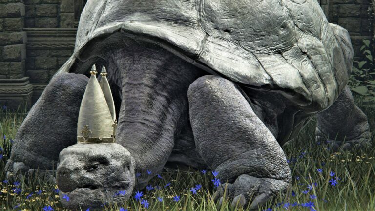 Pope Turtle Miriel Elden Ring