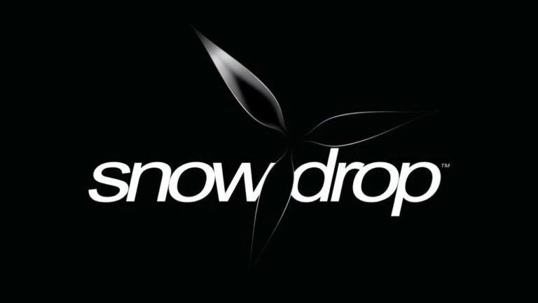 Snowdrop Engine: Ubisofts V12-Motor für Videospiele