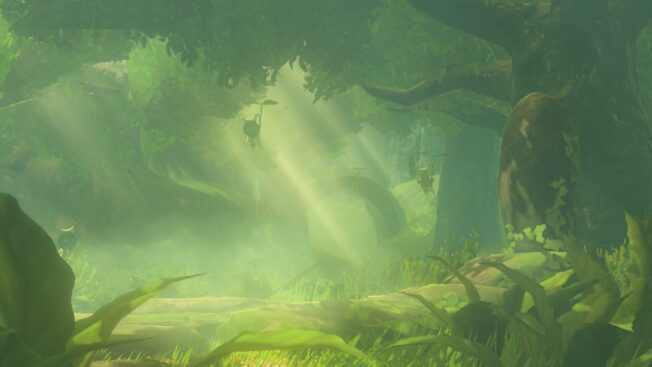 Wo kann ich den Krog Maronus in Zelda: Breath of the Wild (BotW) finden?