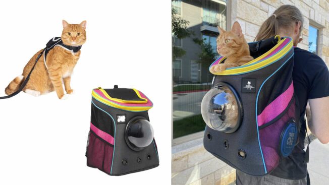 Stray-travel-cat-merchandise