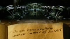 Hogwarts-Legacy-Kammer-des-Scheckens-Harry-Potter
