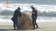 Mysteriöse Metallkugel am Strand in Japan
