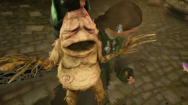 Pflanzen züchten in Hogwarts Legacy - Bilder - Alraunen