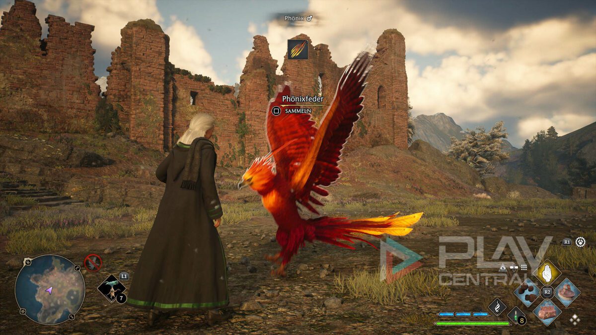 Kann ich einen Phönix züchten? Phönix finden und fangen für Phönixfeder Hogwarts Legacy