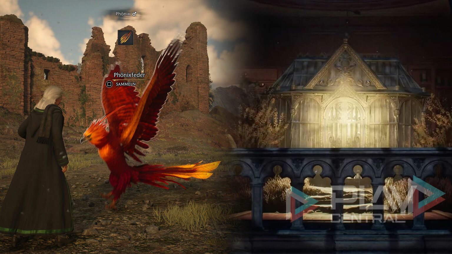 Hogwarts Legacy Tierwesen Gehege Vergrossern
