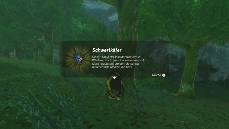 Schwertkäfer finden und fangen in Zelda Tears of the Kingdom, so geht´s (Lösung)