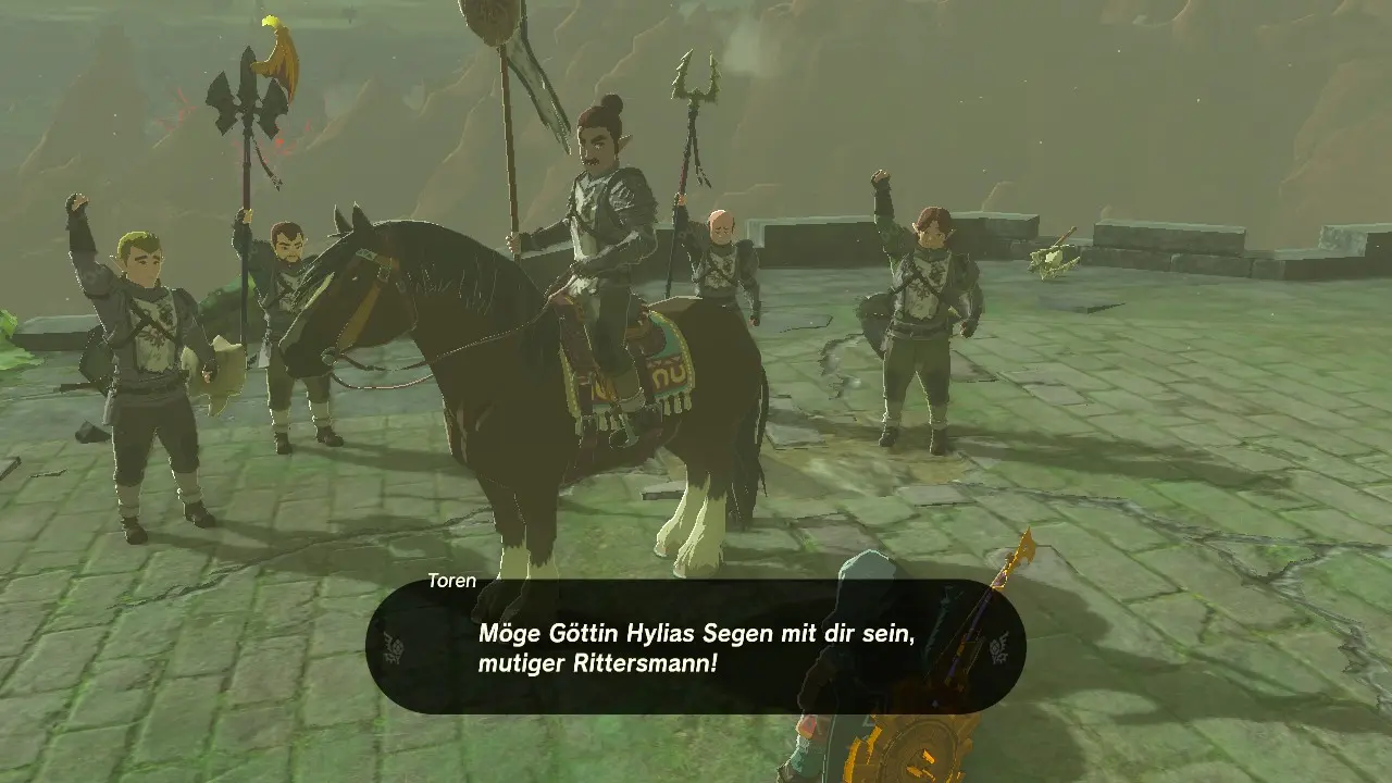 Zelda Tears of the Kingdom: Bringe Akkala Frieden!